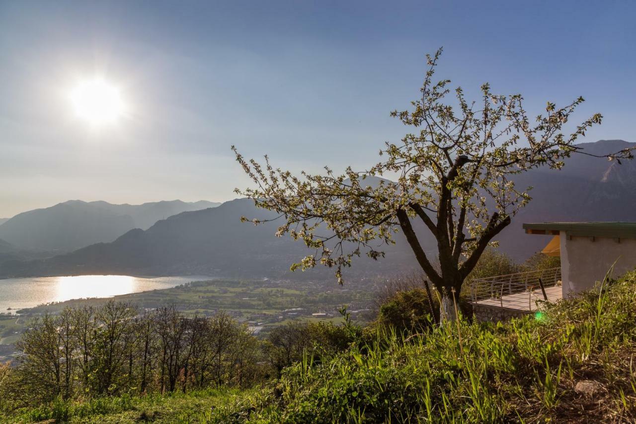 Agriturismo Alveare Sul Lago Pisogne Eksteriør bilde