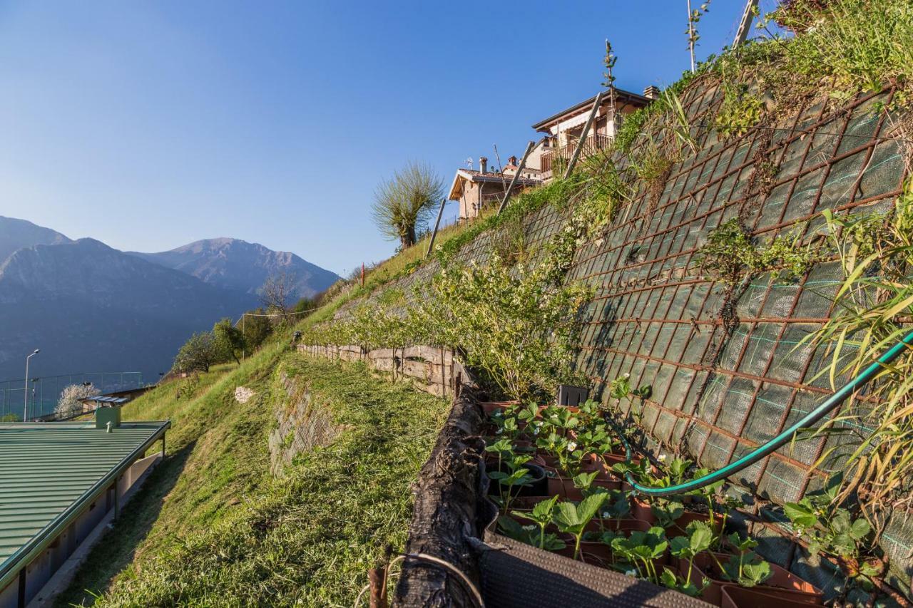 Agriturismo Alveare Sul Lago Pisogne Eksteriør bilde
