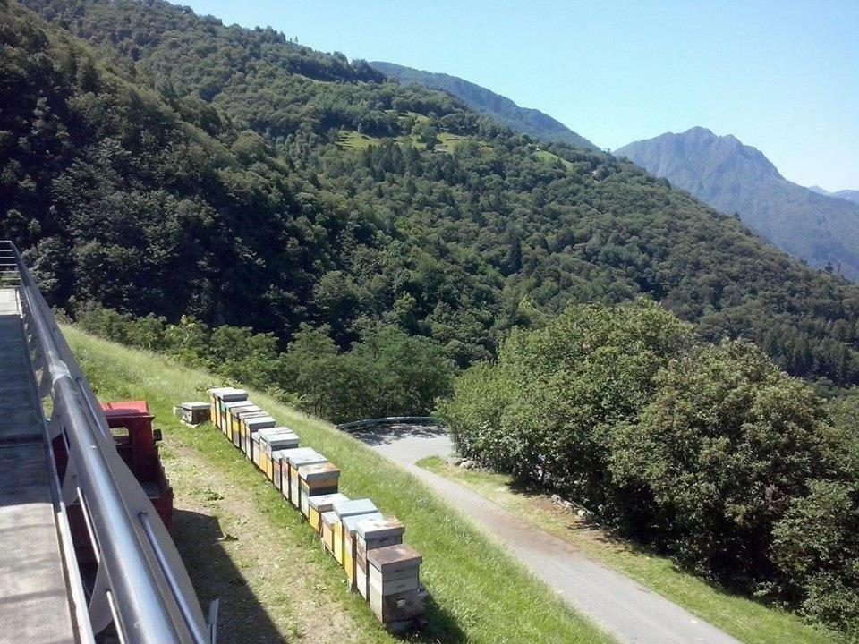 Agriturismo Alveare Sul Lago Pisogne Eksteriør bilde